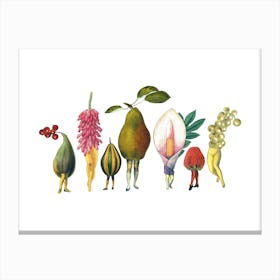 Garden Pixies Canvas Print