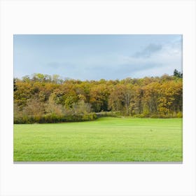 Autumn In The Forest 16 Canvas Print