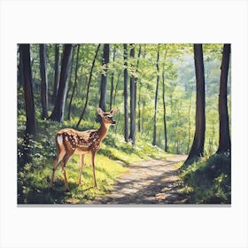 Deer In The Deep Woods 3 Canvas Print