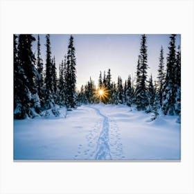 At The Onset Of Winter A Snowy Panorama Unfolds A Vast Forest Exists Beneath The Far Reaching Sky (5) Canvas Print