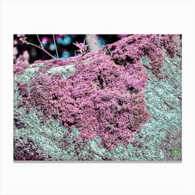 Purple Moss 202308181721262pub Canvas Print