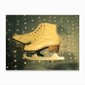 Vintage ice skates on a green background. Canvas Print