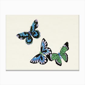 Vintage Butterfly, Cho Senshu (2) Canvas Print
