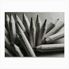 Pencils Canvas Print