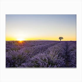 Provence Sunset Canvas Print