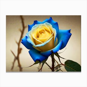 Blue And Yellow Rose Canvas Print