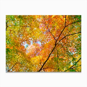 Autumn1 Canvas Print