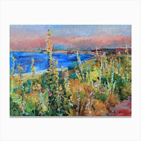 Mallows by the sea Canvas Print