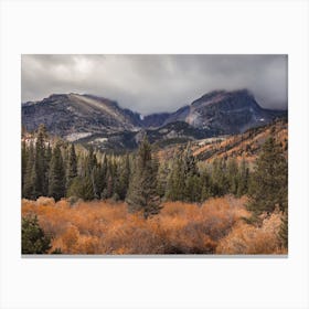 Forest Valley Canvas Print