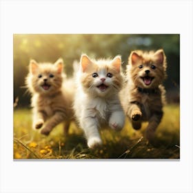 Three Kittens Running 1 Canvas Print