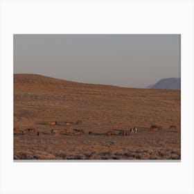 Horse Herd On Hillside Canvas Print