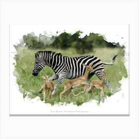 Savuti Marshes, Chobe National Park, Botswana Canvas Print