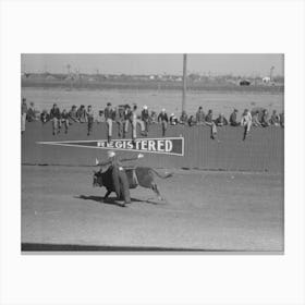 Untitled Photo, Possibly Related To Cowboy Being Thrown From Bucking Horse During The Rodeo Of The Sa Canvas Print