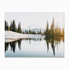 Winter Pine Tree Reflection Canvas Print