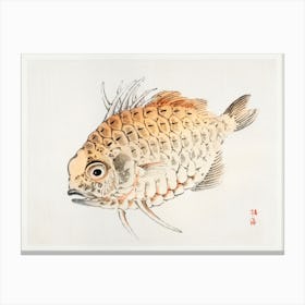 Fish, Kōno Bairei Canvas Print
