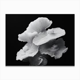 Fungus 1 Canvas Print