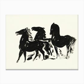 Vintage Wild Horses Canvas Print