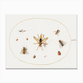 Ten Insects (1575–1580), Joris Hoefnagel Canvas Print