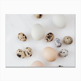 Quail Eggs 26 Canvas Print