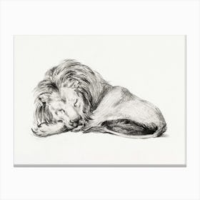 Lying Lion, Jean Bernard Canvas Print