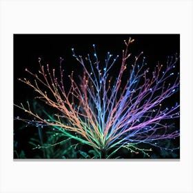 Abstract Colorful Branch With Lights On Black Background Canvas Print