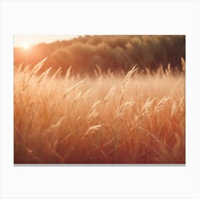 An Image Of A Field Of Tall Grass In The Golden Light Of Sunset Canvas Print