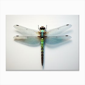 Dragonfly Common Green Darner Anax Juni Illustration 4 Canvas Print