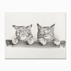 Sleepy Cats Vintage Canvas Print