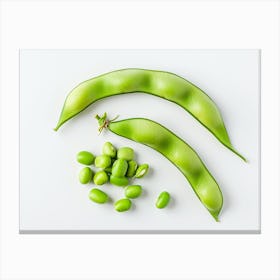 Soy Beans On White Background Canvas Print