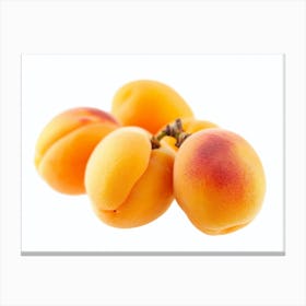 Apricots 5 Canvas Print