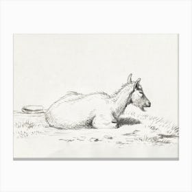 Lying Goat (1816), Jean Bernard Canvas Print