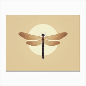 Dragonfly Common Baskettail Epitheca 7 Canvas Print