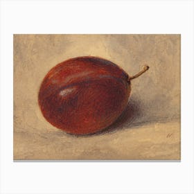 Plum fruit Canvas Print