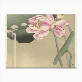 Lotus Flower And Bird Canvas Print