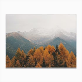 Fall Forest And Mountains Canvas Print