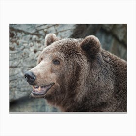 Grizzly Bear Canvas Print