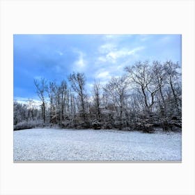 The Snowy Backyard (From Home Series) Canvas Print