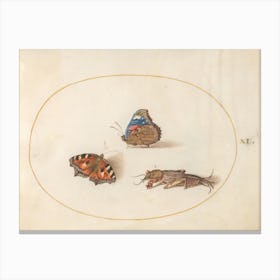 Two Butterflies and a Mole Cricket, (c. 1575-1580), Joris Hoefnagel Canvas Print