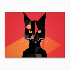 Abstract Cat 5 Canvas Print