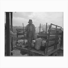 Untitled Photo, Possibly Related To Southeast Missouri Farms, Loading Truck In Process Of Moving Fsa (Farm Canvas Print