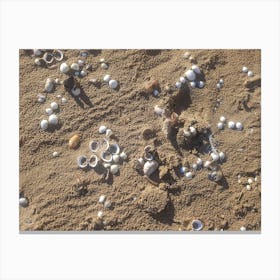 Sand'n'shells Canvas Print