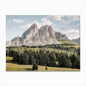 Forest Below Rocky Mountain Canvas Print