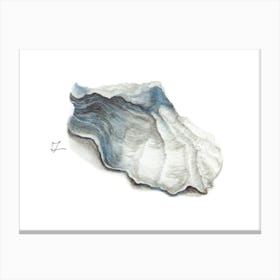 Oyster Shell in blue Canvas Print