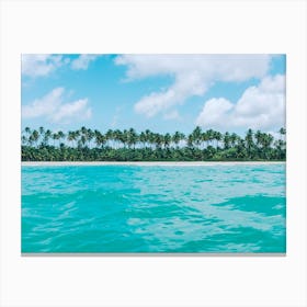 Coconut Beach Canvas Print