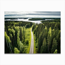 An Aerial View Capturing The Blinding Beauty Of A Life Filled Forest In Sweden Sprawling Spruce And (1) Canvas Print