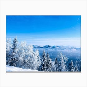 An Abstract Winter Landscape Under A Bright Sunny Sky Freshly Fallen Snow Draping White Iced Trees (1) Canvas Print