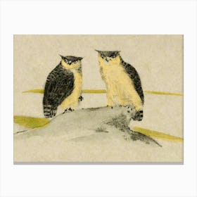 Two Owls Canvas Print