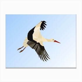 White Stork Canvas Print