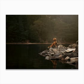 Cocker Spaniel Puppy Standing On Rocks By The Lake- Scotland Highland UK dog photo print - moody animal photography Canvas Print