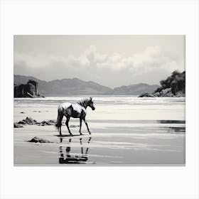 A Horse Oil Painting In Lopes Mendes Beach, Brazil, Landscape 1 Canvas Print